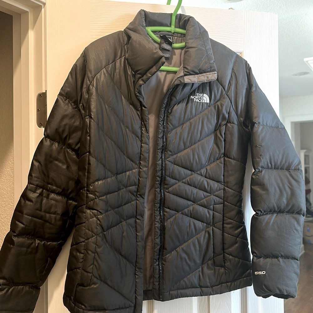 North Face Down Jacket - image 1